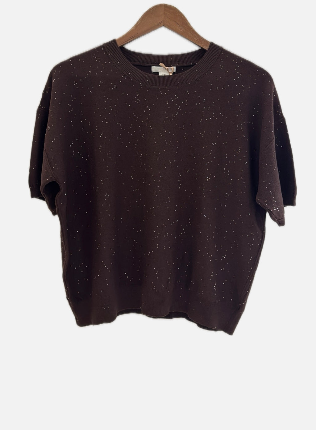 sequin/brown top