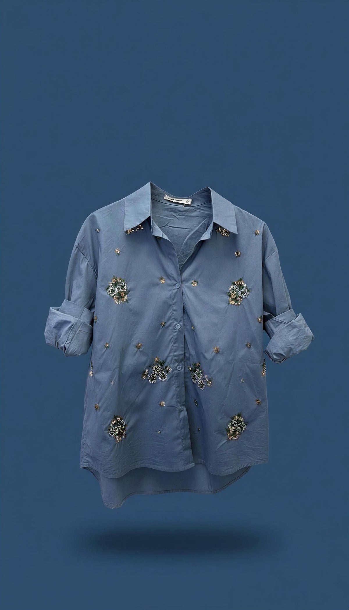 Sequins/Blue blouse