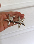 Star silver earrings