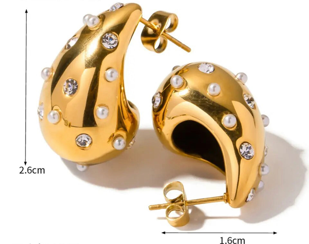 TT 20 Earring